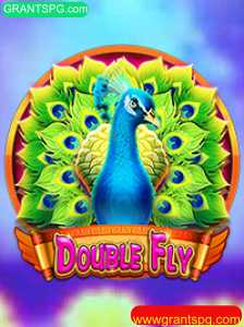Descubra o Mundo Fascinante de DoubleFly: Regras e Estratégias